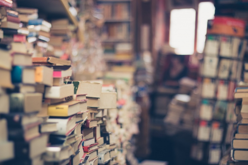 vente-VILLENEUVE LOUBET-min_books_stack_book_store_stack_of_books_2nd_hand_retro_hipster_shop-829090